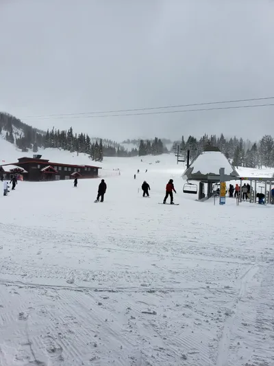 20190516_134504 (Large).jpg